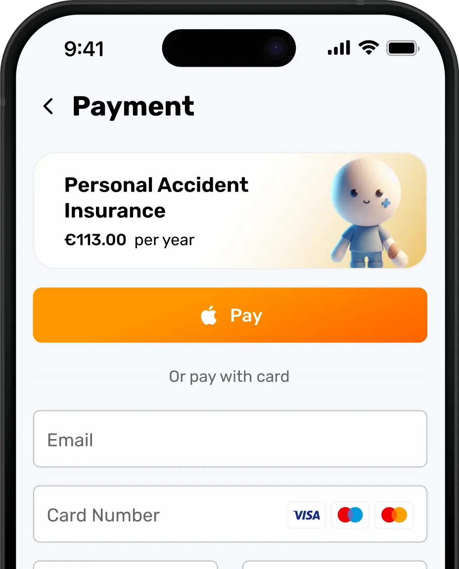 Payment - Screenshot of secure transaction interface
